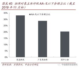 透過城投與非國企債擔保解析擔保公司——專業(yè)擔保公司信用風險跟蹤（一）從事非融資性擔保的業(yè)務(wù)風險透視